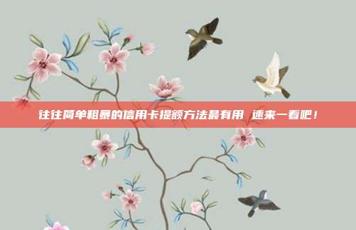 往往簡單粗暴的信用卡提額方法最有用 速來一看吧！