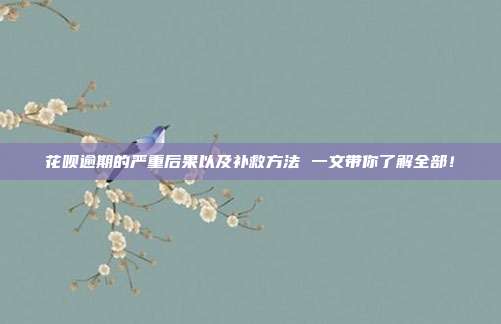花唄逾期的嚴重后果以及補救方法 一文帶你了解全部！