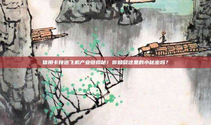 信用卡接送飛機產業鏈揭秘！你知曉這里的小秘密嗎？