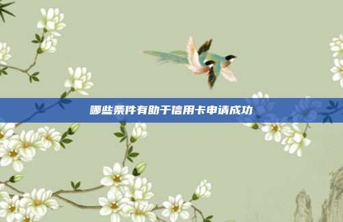 哪些條件有助于信用卡申請成功