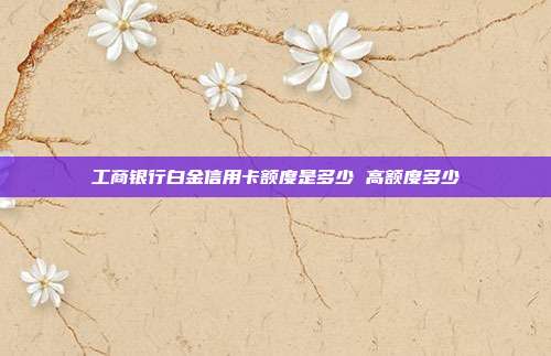 工商銀行白金信用卡額度是多少 高額度多少