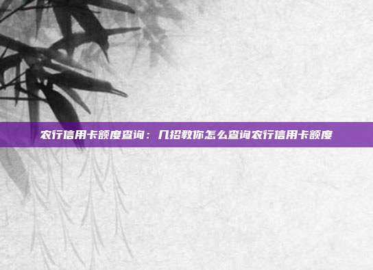農(nóng)行信用卡額度查詢:幾招教你怎么查詢農(nóng)行信用卡額度