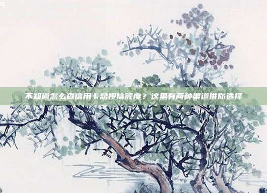 不知道怎么查信用卡總授信額度?這里有兩種渠道供你選擇