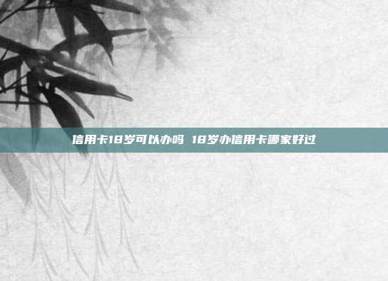 信用卡18歲可以辦嗎 18歲辦信用卡哪家好過