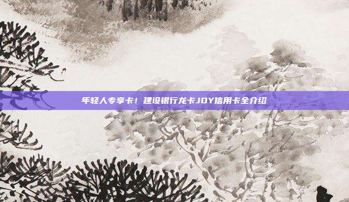 年輕人專享卡!建設銀行龍卡JOY信用卡全介紹