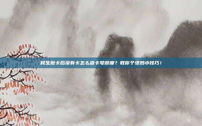 民生批卡后沒有卡怎么查卡號額度?教你個絕妙小技巧!