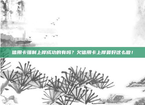 信用卡強制上岸成功的有嗎?欠信用卡上岸最好這么做!