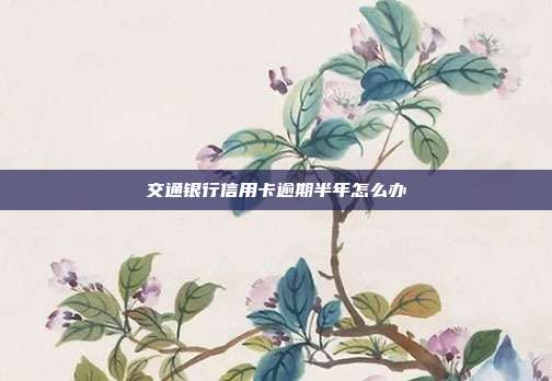 交通銀行信用卡逾期半年怎么辦