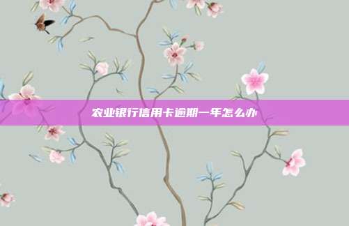 農業銀行信用卡逾期一年怎么辦