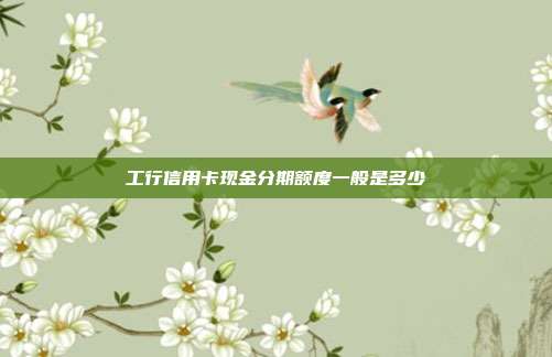 工行信用卡現(xiàn)金分期額度一般是多少