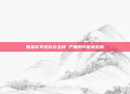 唯品花不還款會怎樣 嚴重的可能被起訴