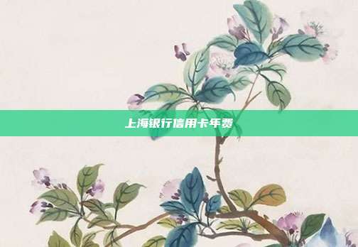 上海銀行信用卡年費(fèi)