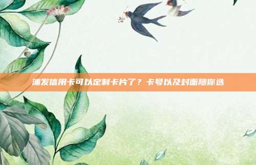 浦發信用卡可以定制卡片了?卡號以及封面隨你選