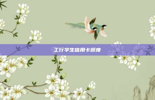 工行學(xué)生信用卡額度