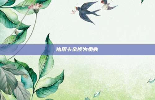 信用卡余額為負數