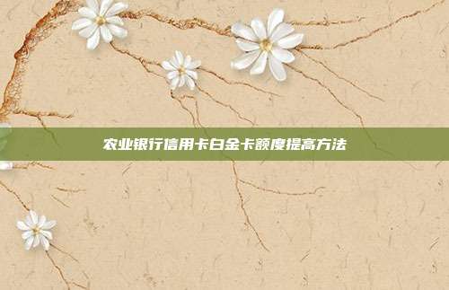 農業銀行信用卡白金卡額度提高方法