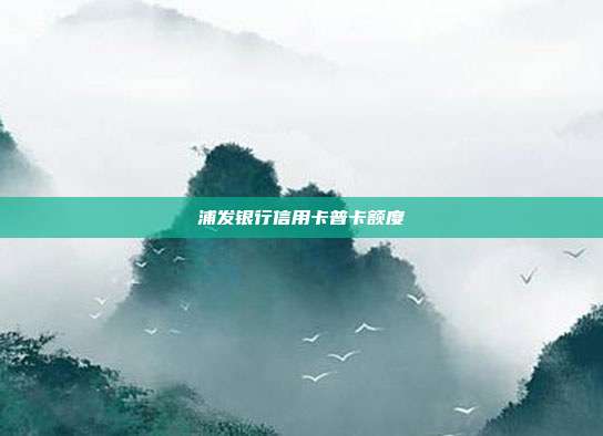 浦發(fā)銀行信用卡普卡額度