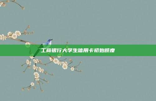 工商銀行大學(xué)生信用卡初始額度