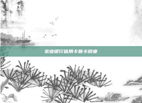 農業銀行信用卡普卡額度