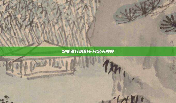 農業銀行信用卡白金卡額度