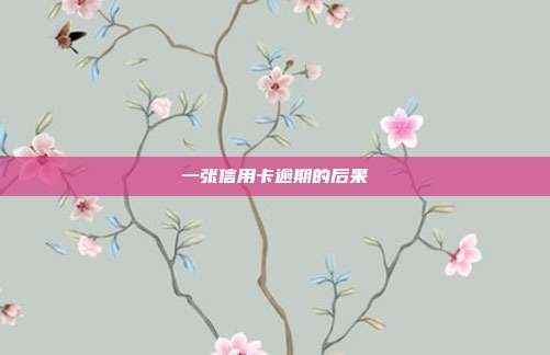一張信用卡逾期的后果
