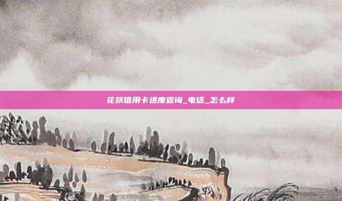 花旗信用卡進度查詢_電話_怎么樣