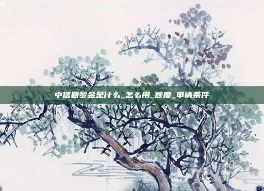 中信圓夢金是什么_怎么用_額度_申請條件