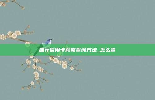 建行信用卡額度查詢方法_怎么查