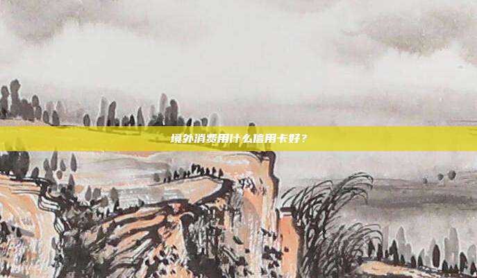 境外消費用什么信用卡好?