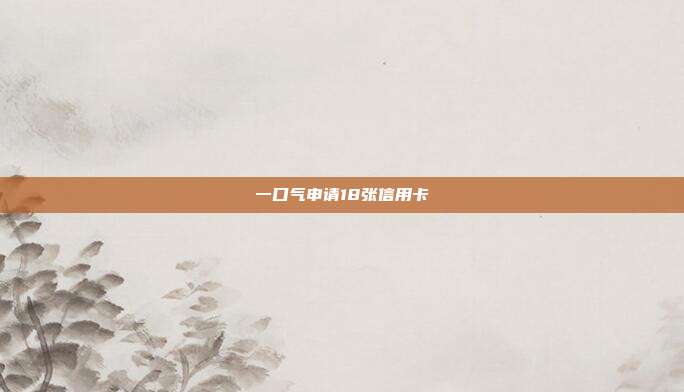 一口氣申請(qǐng)18張信用卡