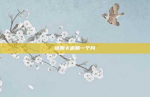 信用卡逾期一個月
