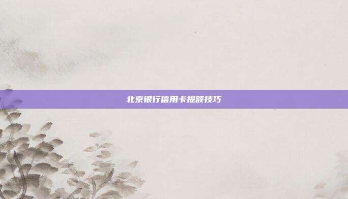 北京銀行信用卡提額技巧