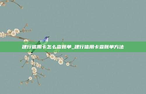 建行信用卡怎么查賬單_建行信用卡查賬單方法