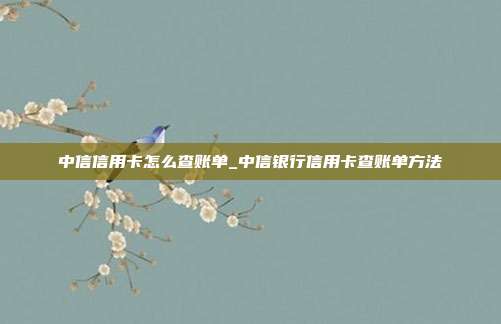 中信信用卡怎么查賬單_中信銀行信用卡查賬單方法