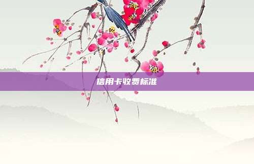 信用卡收費(fèi)標(biāo)準(zhǔn)