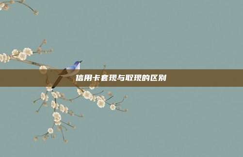 信用卡套現(xiàn)與取現(xiàn)的區(qū)別