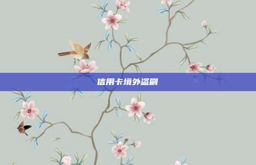 信用卡境外盜刷