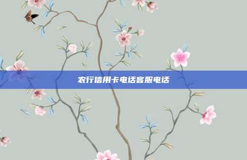 農(nóng)行信用卡電話客服電話
