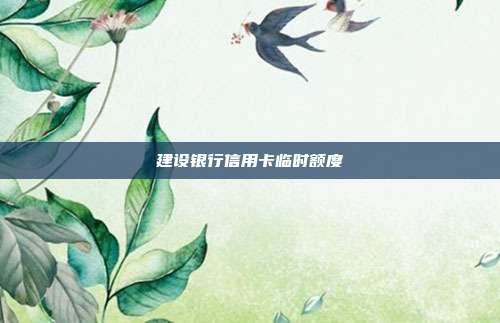 建設(shè)銀行信用卡臨時額度