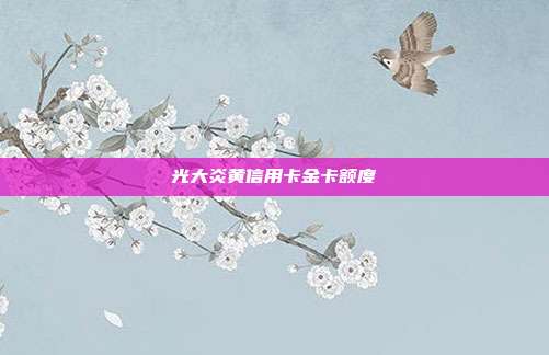 光大炎黃信用卡金卡額度