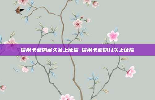 信用卡逾期多久會上征信_信用卡逾期幾次上征信