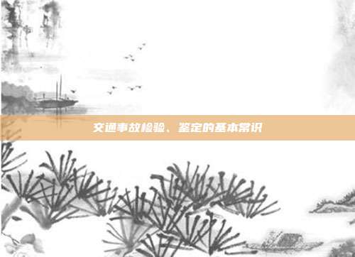 交通事故檢驗、鑒定的基本常識