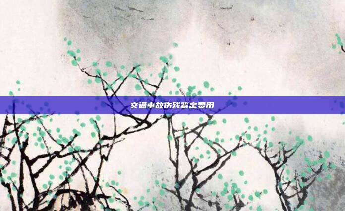 交通事故傷殘鑒定費(fèi)用