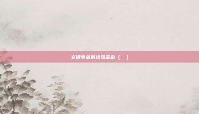 交通事故的檢驗鑒定(一)