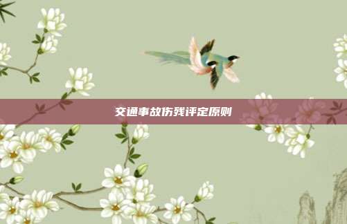 交通事故傷殘評定原則
