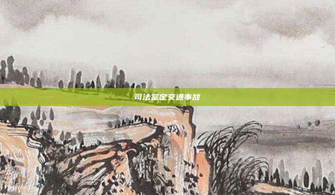 司法鑒定交通事故