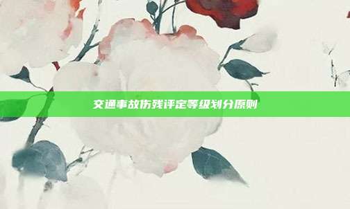 交通事故傷殘評定等級劃分原則