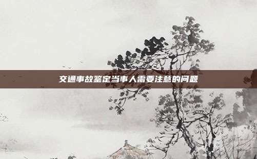 交通事故鑒定當事人需要注意的問題