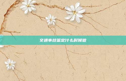 交通事故鑒定什么時候做