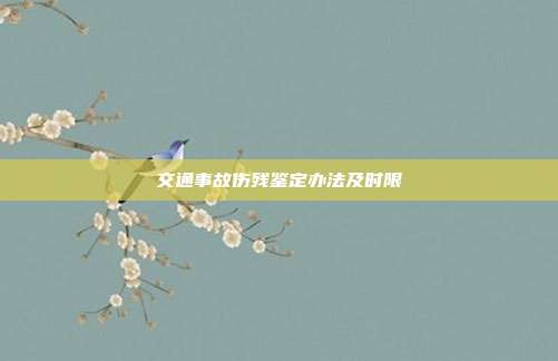 交通事故傷殘鑒定辦法及時限